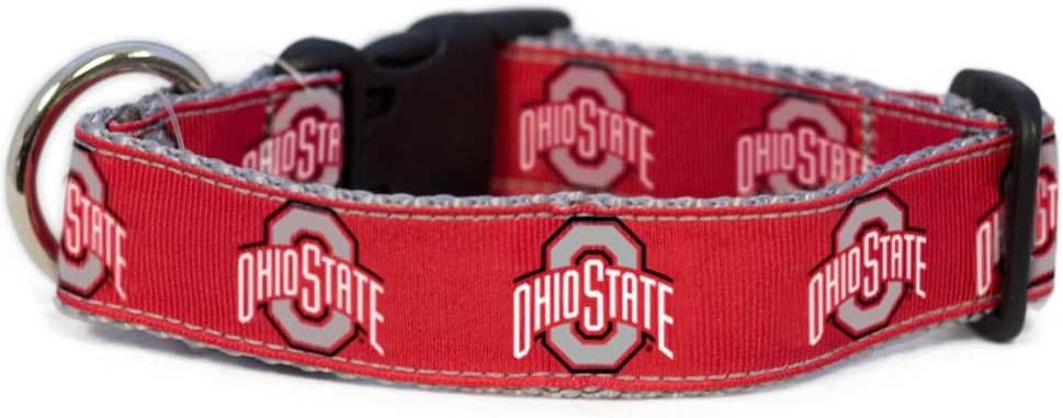 All Star Dogs NCAA Unisex-Adult Dog Collar