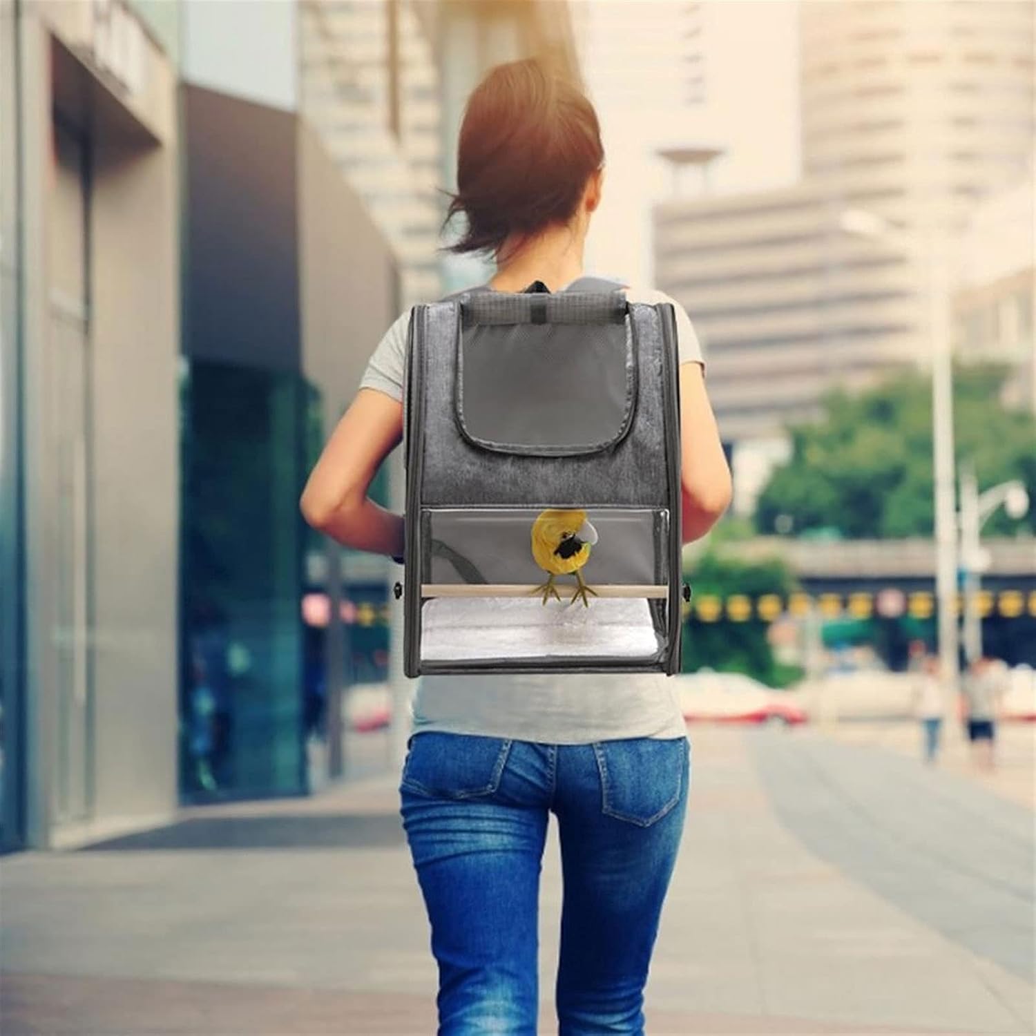 Flight Cage Bird Parrot Carrier Bird Travel Cage Backpack Folding with Perch Dog Backpack Carrier for Pet Parrot Cat Bird Cage