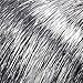 Jon Renau | Easihair Tinsel Town Color Metallic Silver - Illusions Costume Wig 9'' Chin Length Bob Nightclub Celebration Blunt Bangs Party Synthetic Fancy Dress 3.6 oz Bundle MaxWigs Hairloss Booklet