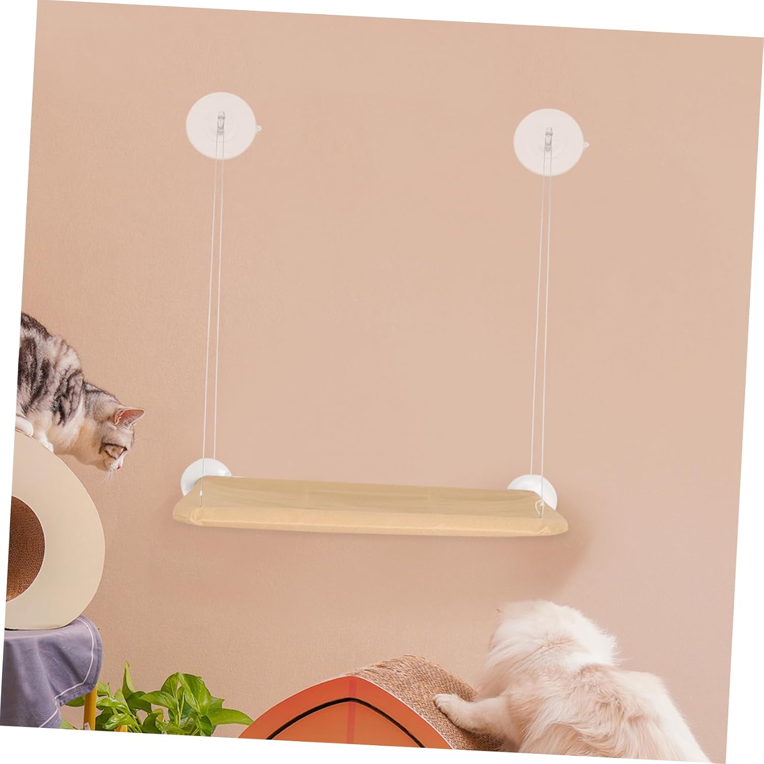 8pcs Cat Window Perch Cup Kit High-Strength Transparent Cups for Cats Space-Saving Window Bed Accessories Easy to Install for Indoor Use