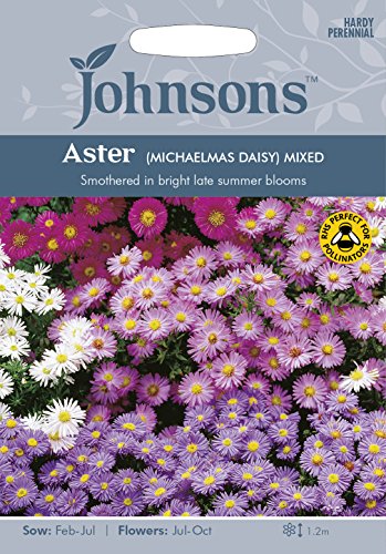 Johnsons 16515 Flower Seeds, Aster (Michaelmas Daisy) Mixed