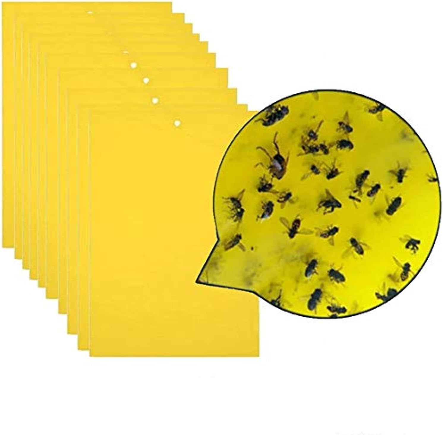 THERESA 20Pcs Strong Flies Traps Bugs Sticky Board Catching Aphid Insects Pest Killer