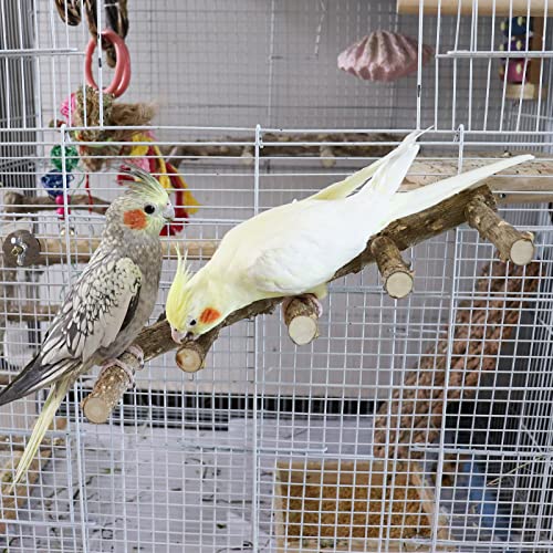 Dnoifne Natural Prickly Ash Wood Bird Ladder Set #TOP20