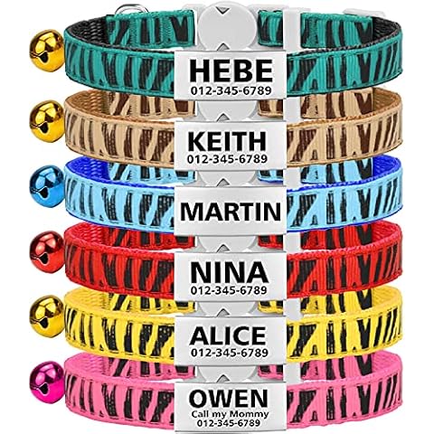 TagME Collier Chat Personnalisable Vert Cover