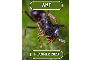 Auntie Acid Beautiful Men & Women Dressing Gown Calendar 2023