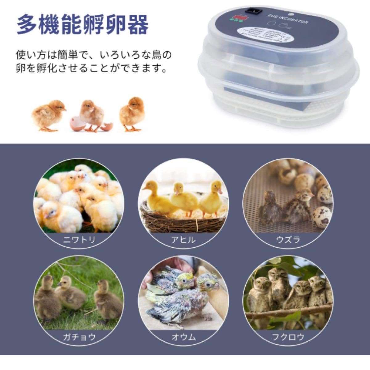 33732074_2