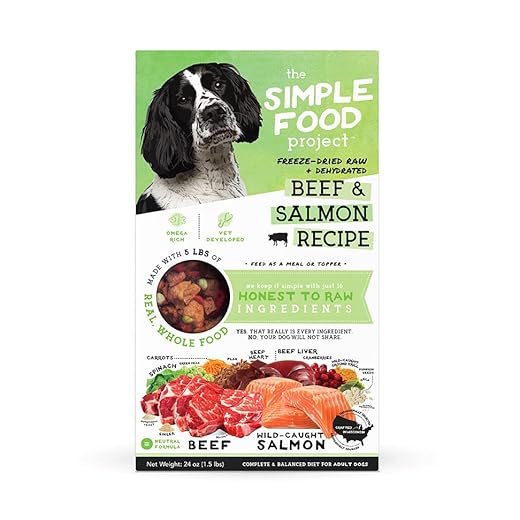 Simple Food Project - Beef & Salmon Recipe - Freeze Dried Raw Food for Dogs - 24oz