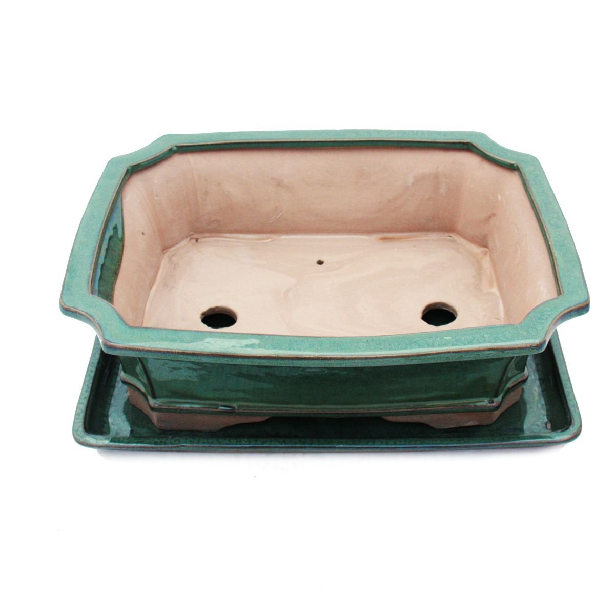 exotenherz Bol à bonsaï avec soucoupe taille 5 - vert - carré - modèle G4 - L 31 cm - l 23 cm - H 9,5 cm