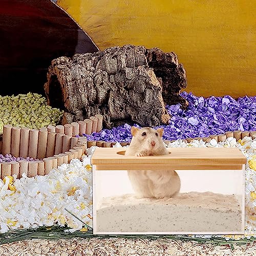 Disnace Sandbad Hamster, Haustier Badewanne, Hamster Toilette, Abnehmbarer Hamster, Sand Badezimmer, Behälter Kleintier Sauna Sandkasten für Hamster Meerschweinchen Frettchen Gerbil Chinchilla (M)