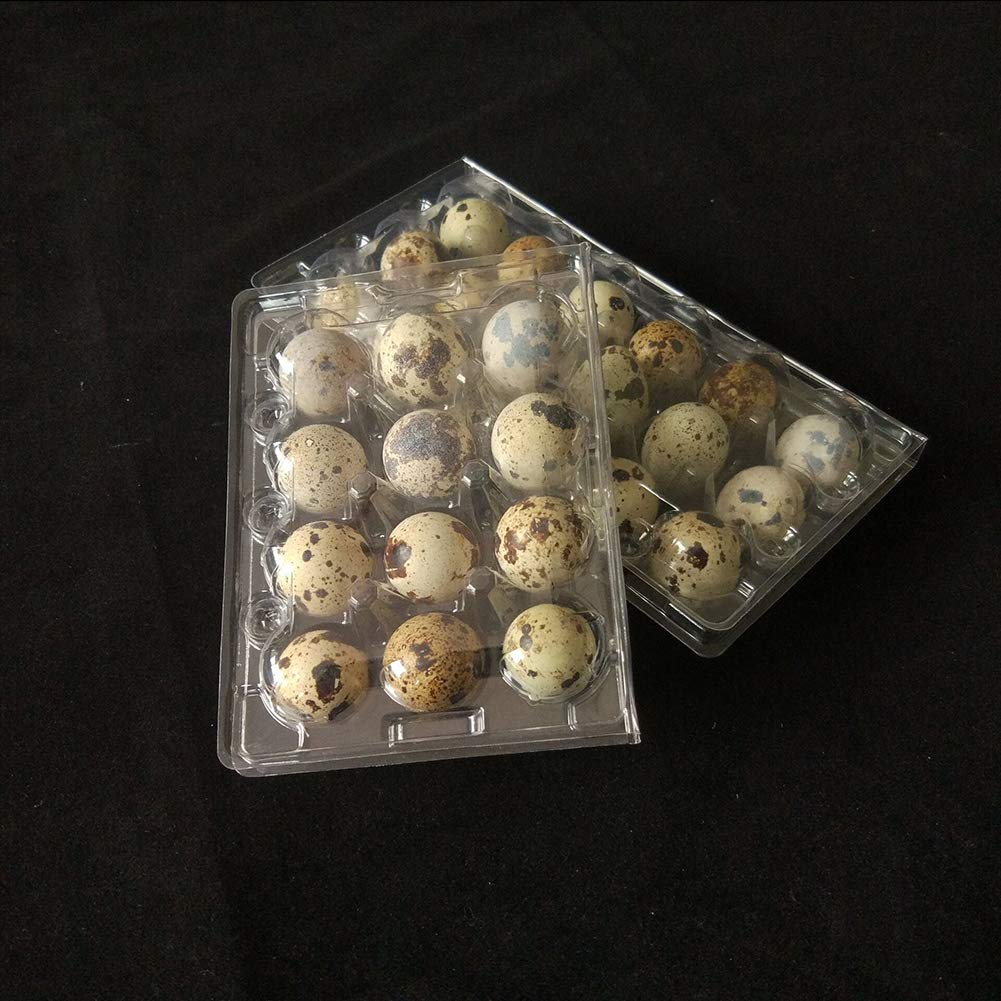 Lot de 50 plateaux en plastique pour œufs de caille, petits œufs de caille, pour des dizaines de boîtes de rangement pour réfrigérateur 12/18/20 grilles