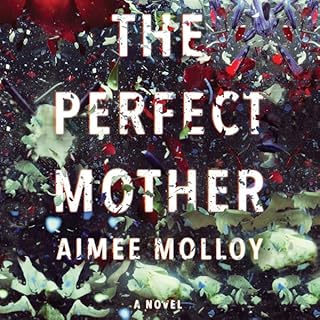 Page de couverture de The Perfect Mother
