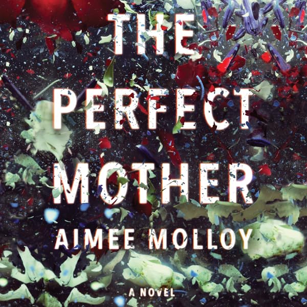 Cover art for The Perfect Mother