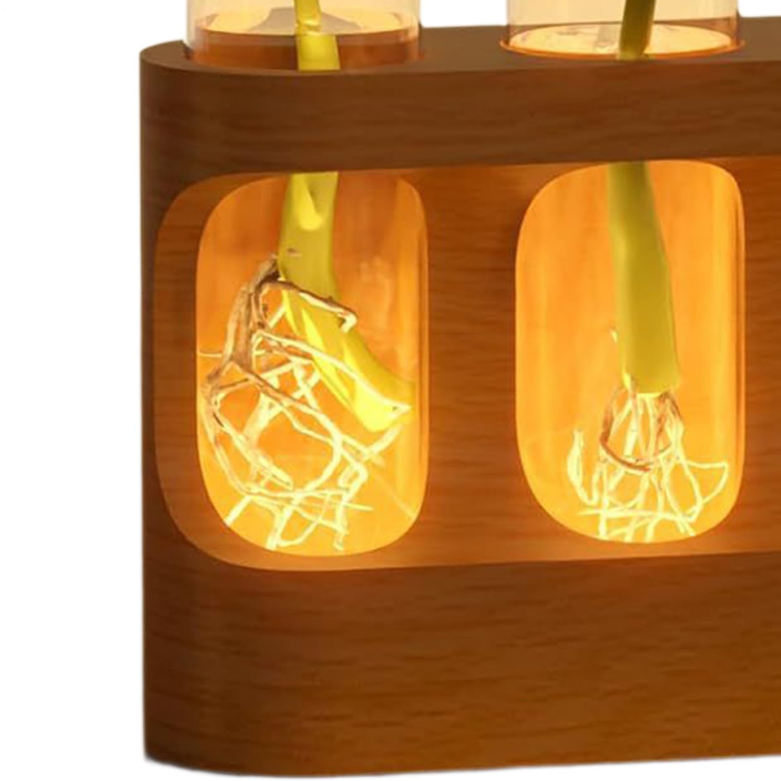 Vase De Propagation Terrarium avec Éclairage LED Réglable