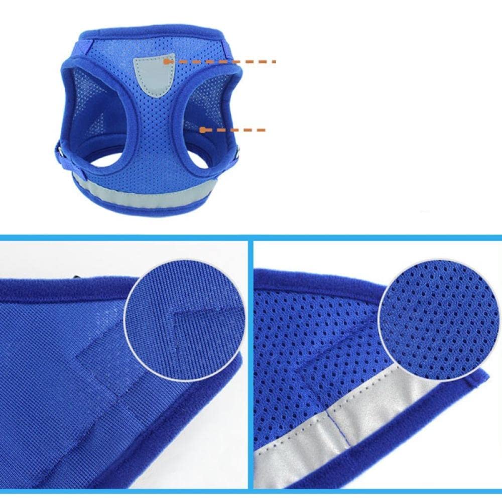 Harnais et Laisse réfléchissants en Nylon Rouge pour Chien et Chat, compatibles avec Les Petits et Moyens Chiens (Taille M) et Les Sacs de Transport pour Chien (Taille L).