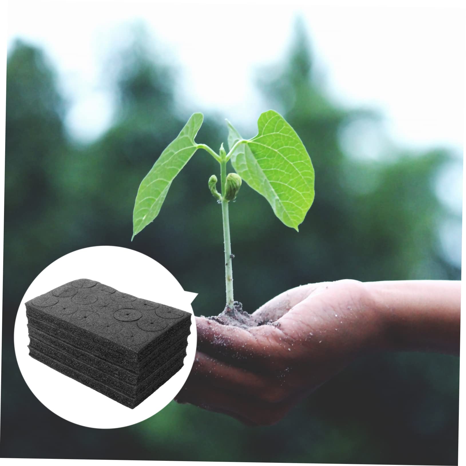 ifundom 2 Series Esponjas Hidropónicas Vegetal De Jardinería Sin Herramienta Conveniente 75 Piezas*2