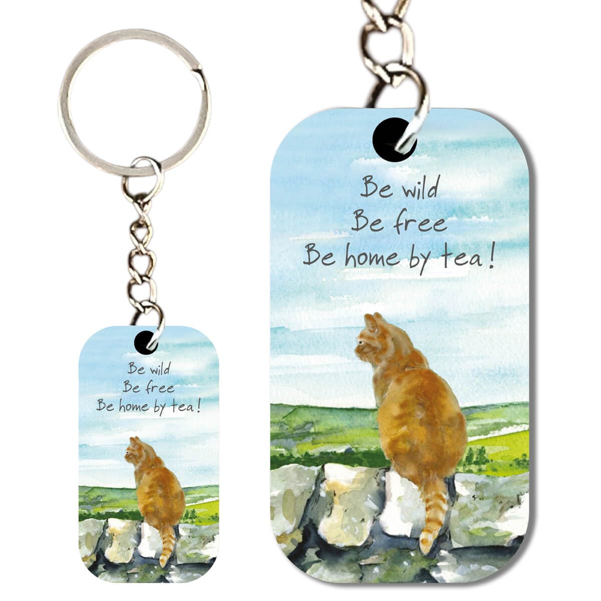 Little Dog Laughed Unisex Ginger Cat Double-Sided Keyring, 5.5 Cm X 3 Cm, Plastic