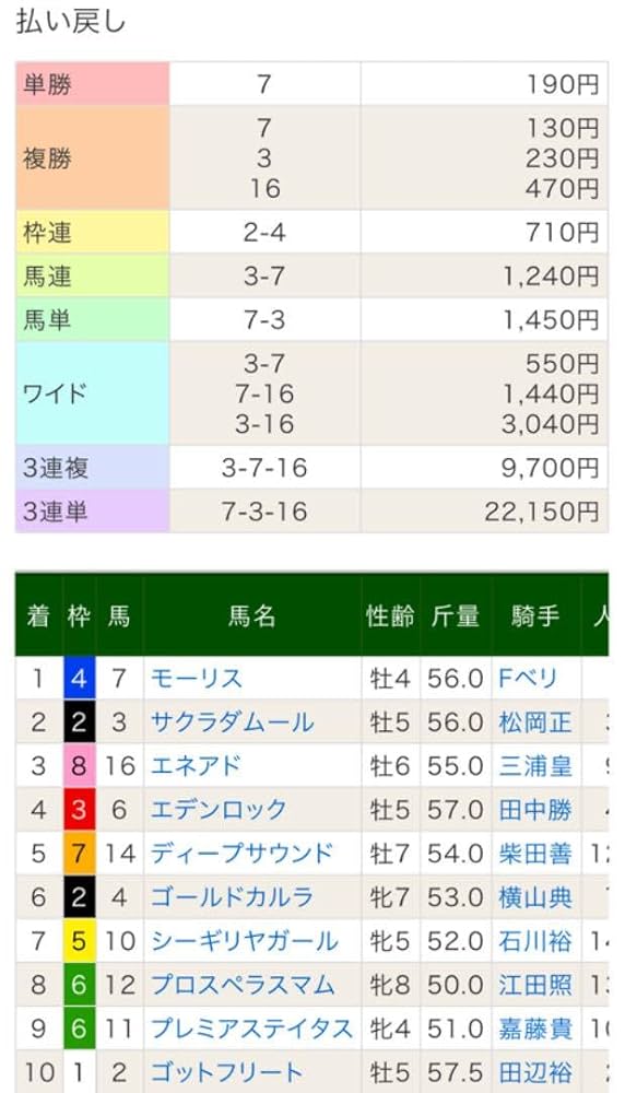 Amazon.co.jp: 中山馬主協会 モーリス ぬいぐるみ フランシス