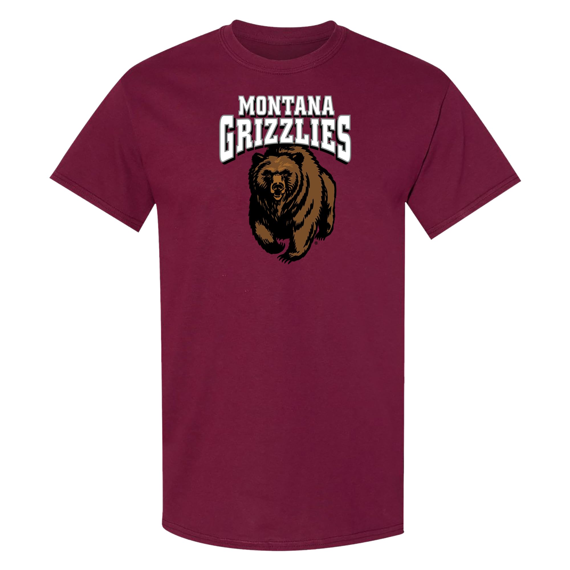 NCAA Arch Logo - NCAA Sports Team Color T Shirt — view 175