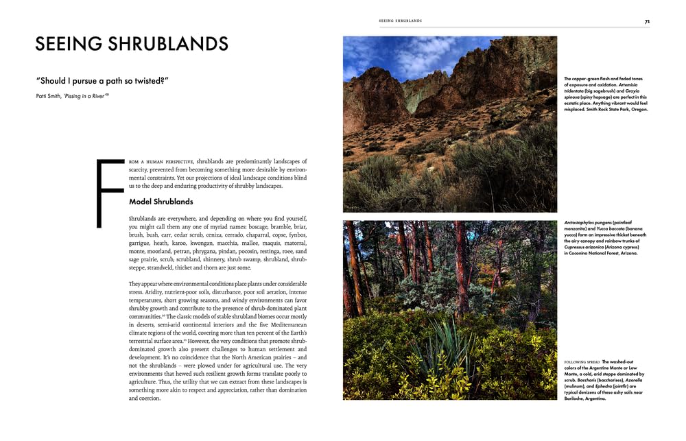 Shrouded in Light: Naturalistic Planting Inspired by Wild Shrublands