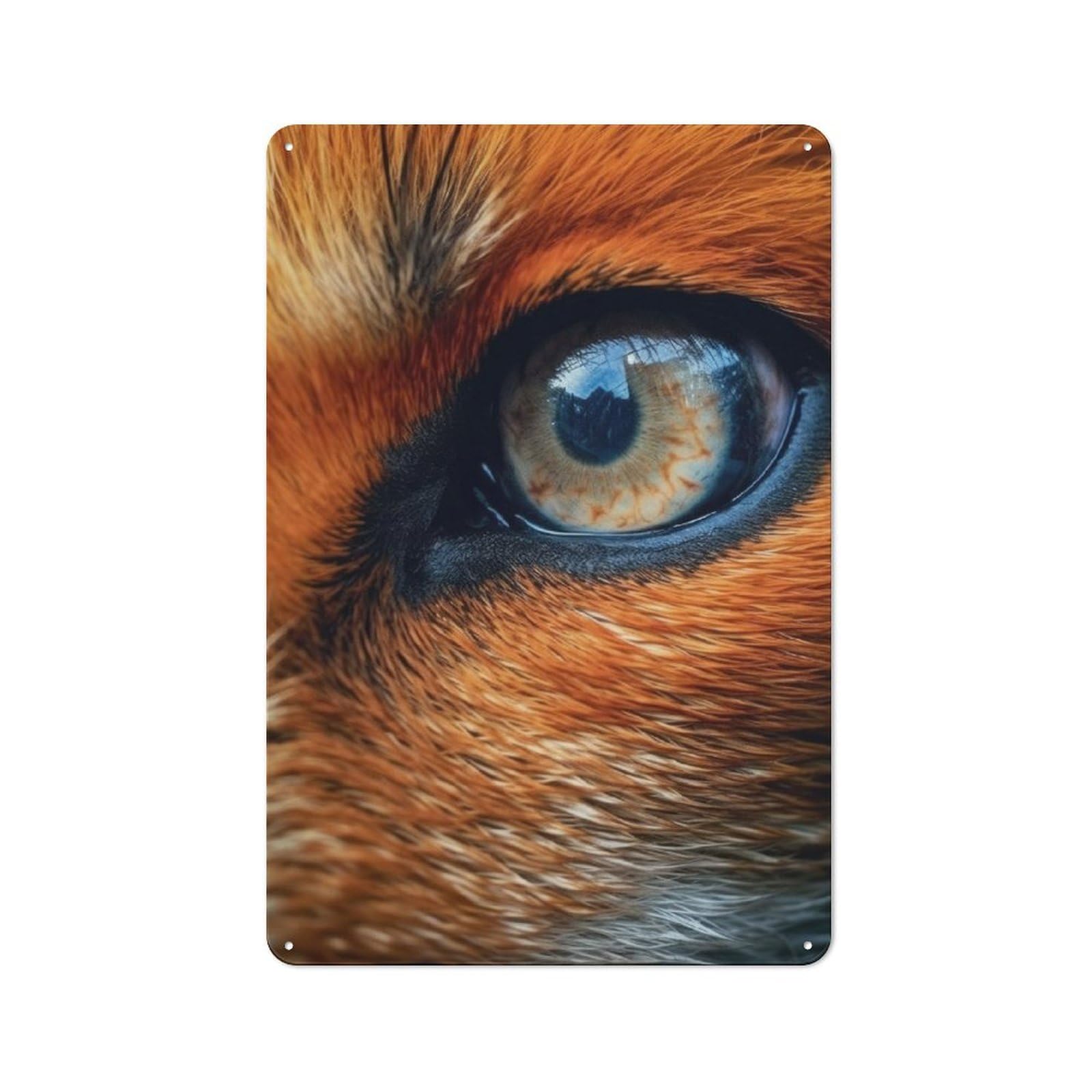 Fox Eye Classic Metal Wall Decor 30x20cm, Metal Sign for Cafe, Pub, Workshop Or Home Bar, Small Accent for Blank Walls