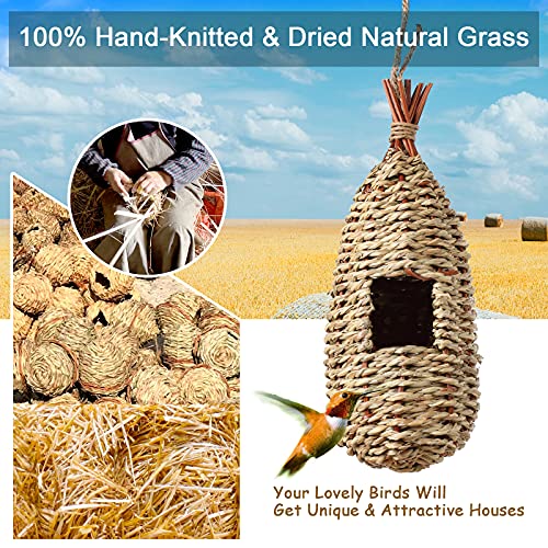 PiiSheou Humming Bird Houses, Set of 3 Hummingbird Houses for Outside with Rope, Grass Hand Woven Hanging Birdhouse for Outside, Outdoor Bird Houses for Audubon Finch Canary Chickadee Sparrow