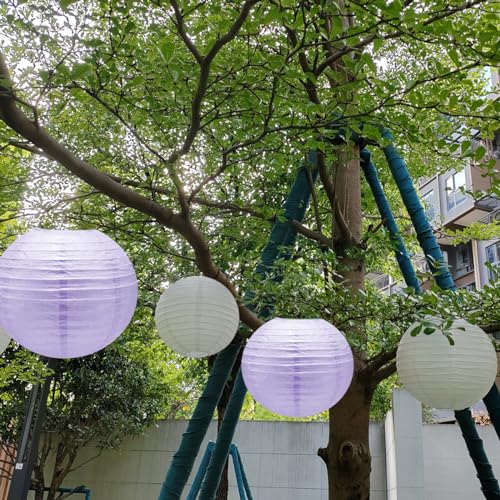 Image of 8 Inch Purple Paper Lanterns for Graduation Decorations 2025 Birthday Party Bachelorette Engagement Wedding Baby Shower(Set of 5, Purple)