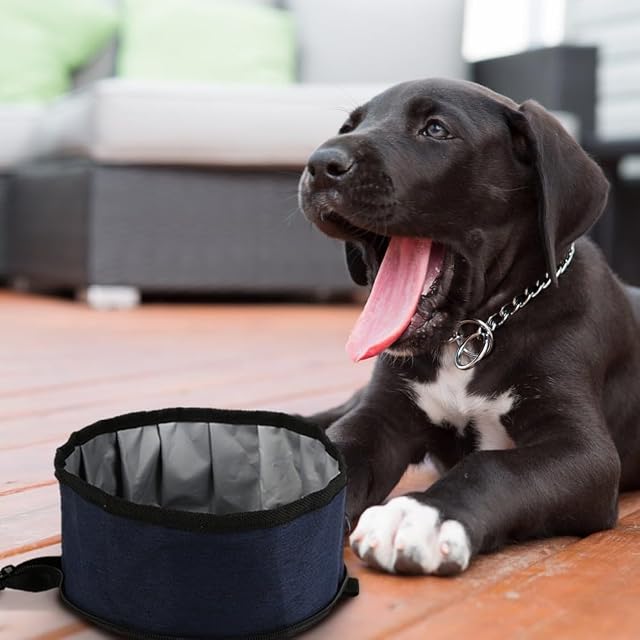 Foto 6 de 8 de Cuenco plegable para perro, 1.5 L con cremallera para mascotas