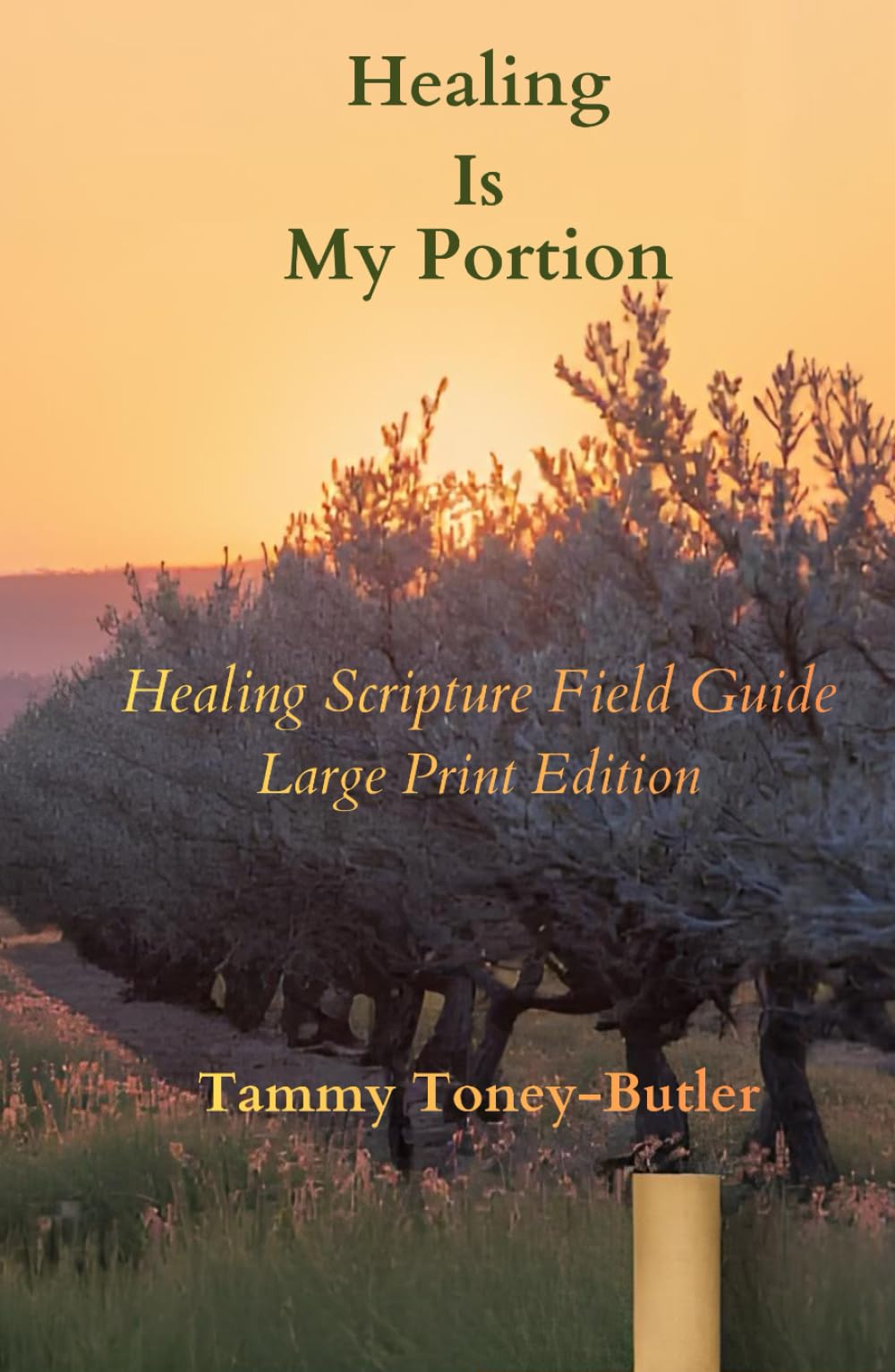 Healing Is My Portion (Large Print Edition): Healing Scripture Field Guide (Healing Is Your Portion Series on Divine Healing)