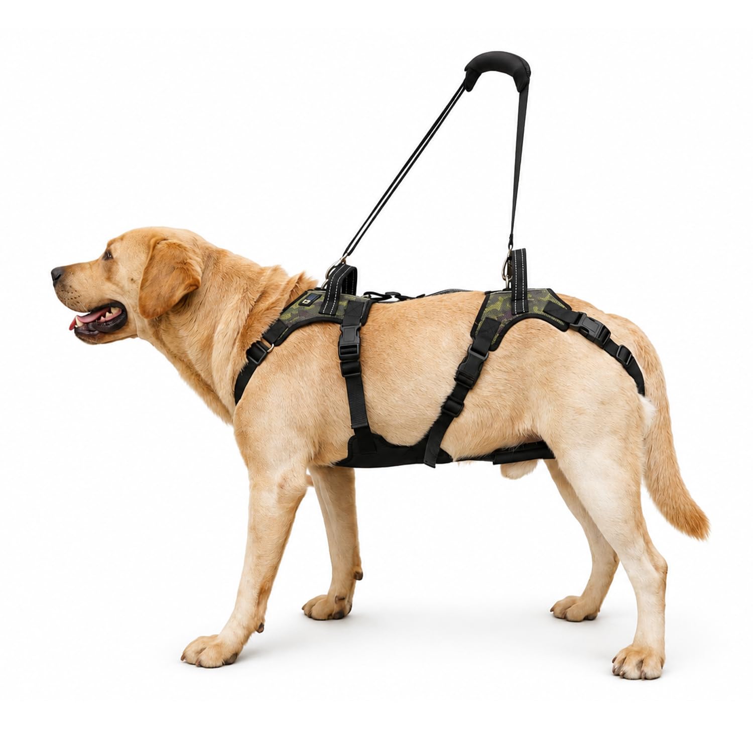 COODEO Arnés de elevación para perros grandes, ayuda de movilidad para perros mayores, ayuda ajustable para patas traseras débiles, artritis, escaleras y coches (negro, XXL)