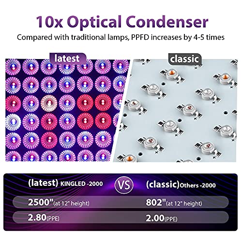 King LED 2000w LED Grow Lights