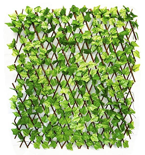 Garden Hub Big Artificial Plant Willow Trellis Expandable Garden Fence I UV Coated I Garden Decoration Outdoor Indoor(Money Plant Leaves, 1mtr X 2mtr) (B083WN9X4S) Amazon Price History, Amazon Price Tracker