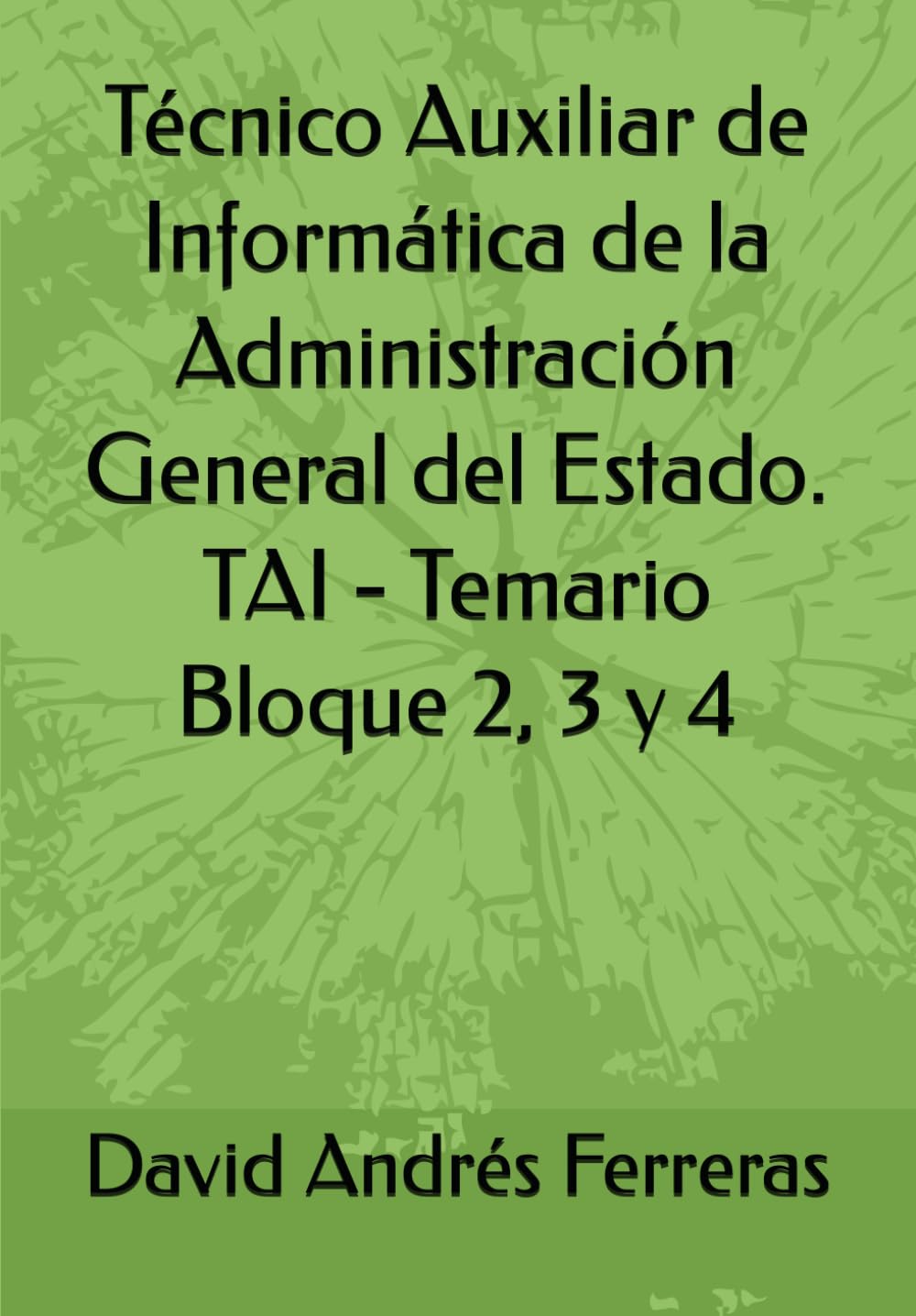 Técnico Auxiliar de Informática de la Administración General del Estado. TAI - Temario Bloque 2, 3 y 4