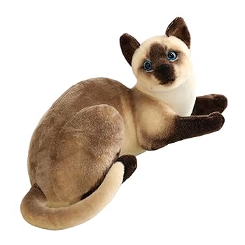 シャム猫 ベランダ最高 #猫 #シャムミックス