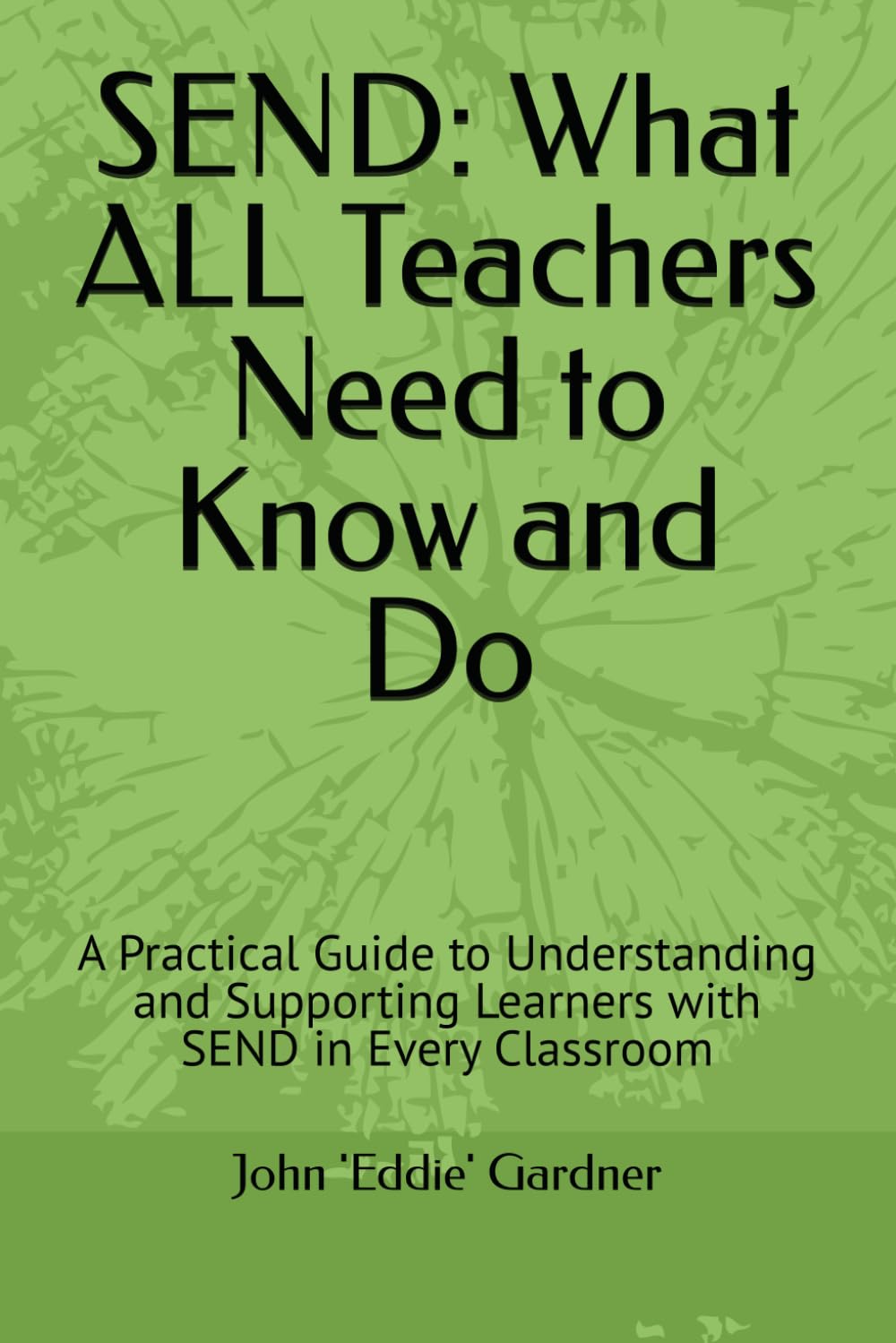 SEND: What ALL Teachers Need to Know and Do: A Practical Guide to Understanding and Supporting Learners with SEND in Every Classroom (Behaviour, Learning and Progress - Plain and Simple)