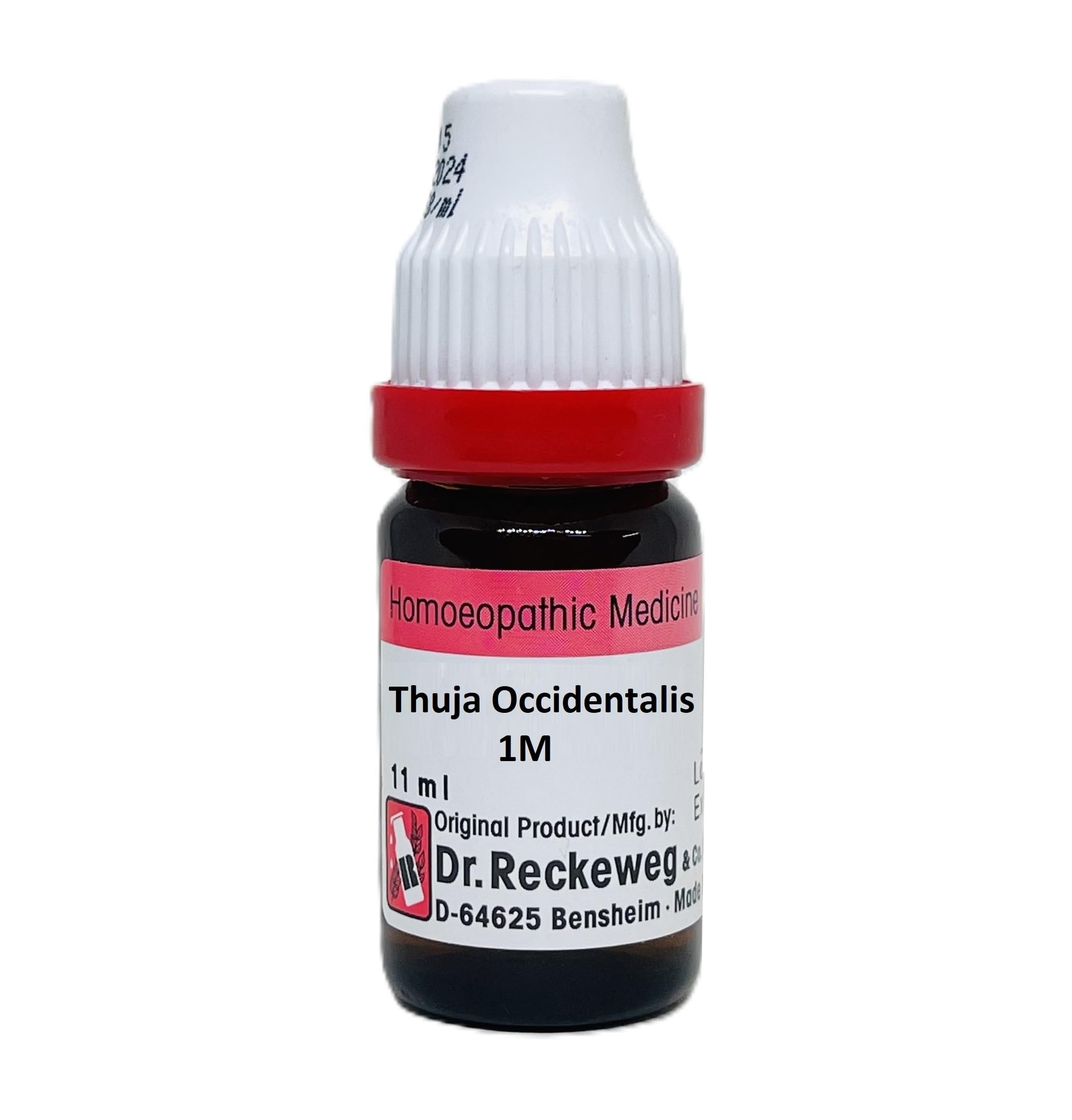 Buy Thuja Occidentalis 1M | R.W German Medicine Online at Low Prices in  India - Amazon.in