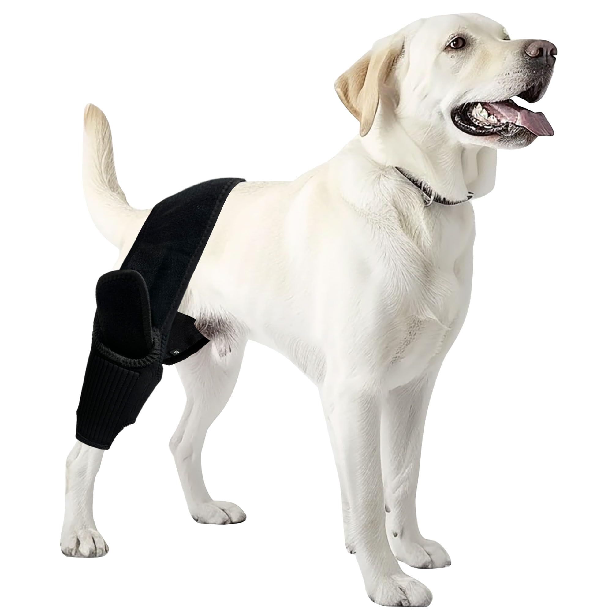 Fristbrace Dog Braces for Back Leg Dog ACL Brace for Torn and Back Hind Rear Legs ACL Tear, Dog Leg Brace for Hip Dysplasia, Dog Arthritis, Luxating Patella(Size S)