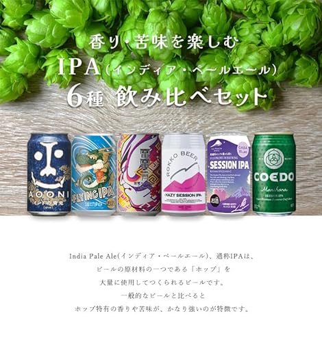逸酒創伝 クラフトビールIPA系6種飲み比べ缶24本セット