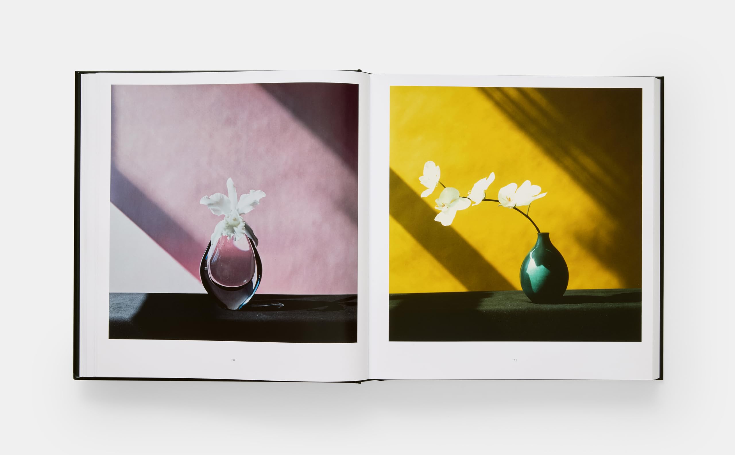 Robert Mapplethorpe. Flora. The complete flowers