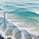 Meditation Music International