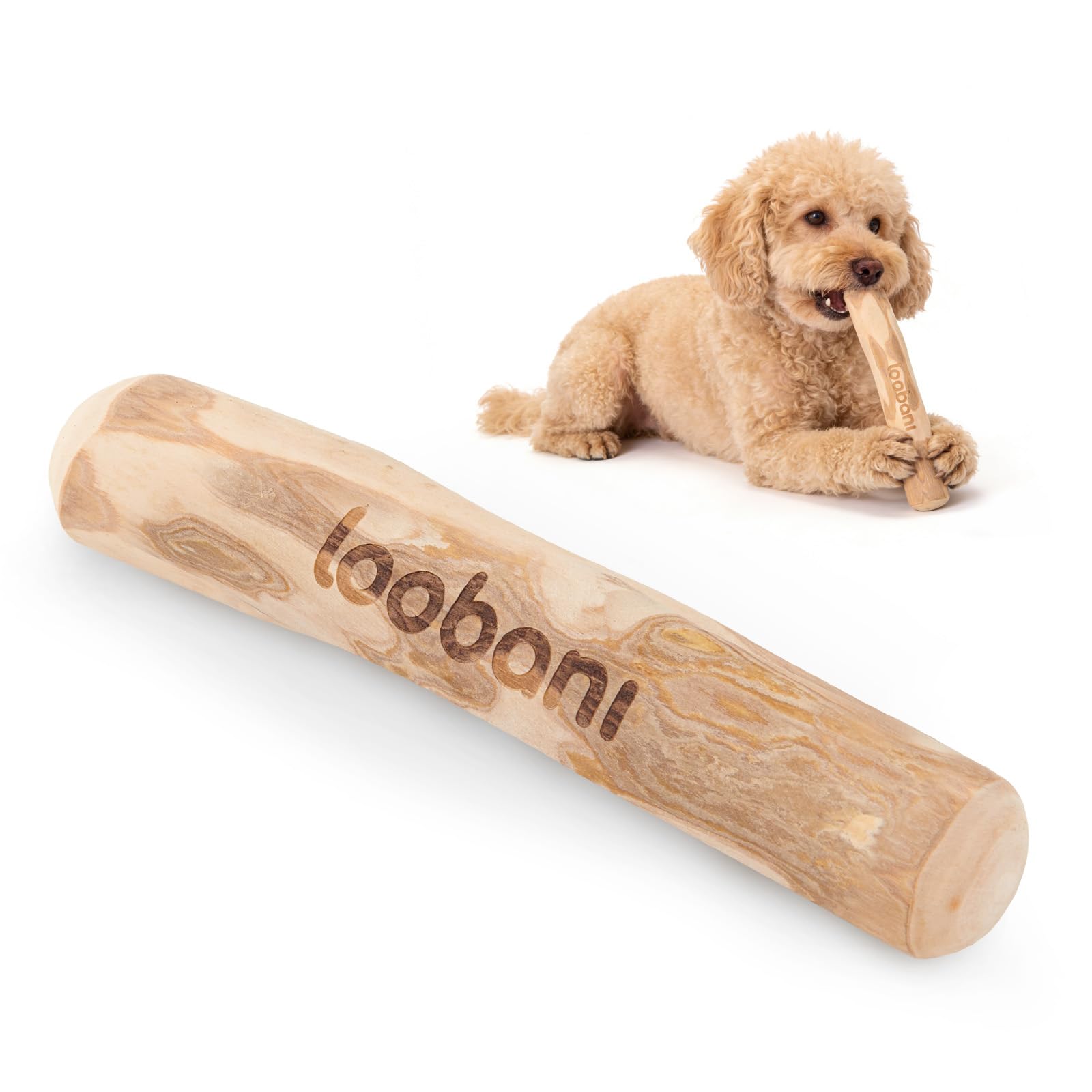 Amazon | 【獣医師推薦】LOOBANI 犬 噛む おもちゃ コーヒーの木 無