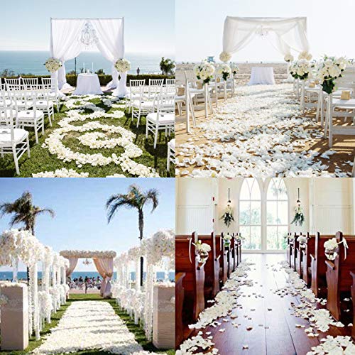 3000 Pezzi Petali di Rosa Seta Artificiale Petali