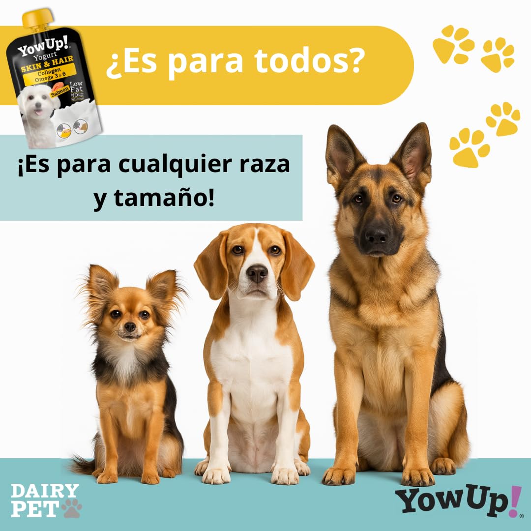 YowUp! Yogur para Perros Piel y Pelo | con Omega 3, 6 y Biotina | Pack Caja Display 10×115 g | Sin Lactosa, Sin Azúcares, Snack Funcional Saludable