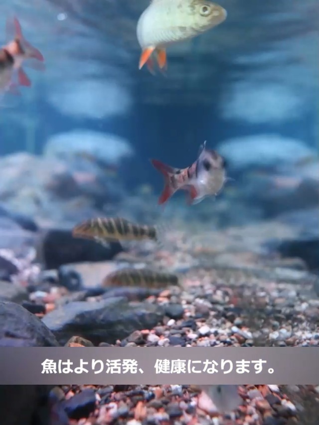 107h2835 Poafamx 水流ポンプ 18W 吐出量：8000L/H Amazon.co.jp: Poafamx 水流ポンプ 18W 吐出量：8000L/H 適用の海水