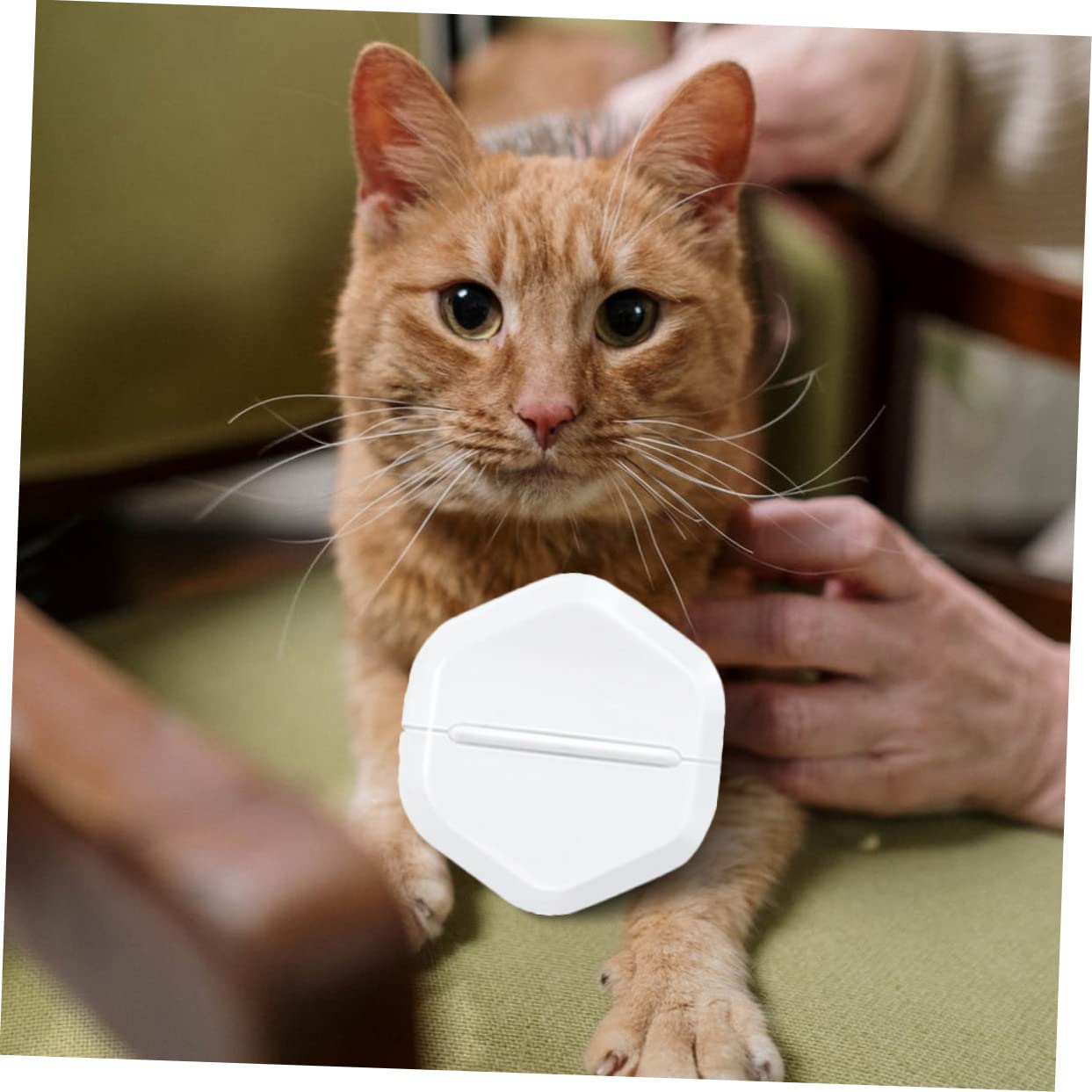 VANZACK Pet Hair Remover Brushes Cat Comb 2 in 1 Dog Grooming Hair Removal Brush Pet Massage Comb Brush