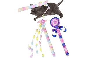 2-Piece Cat Toys for Indoor Cats