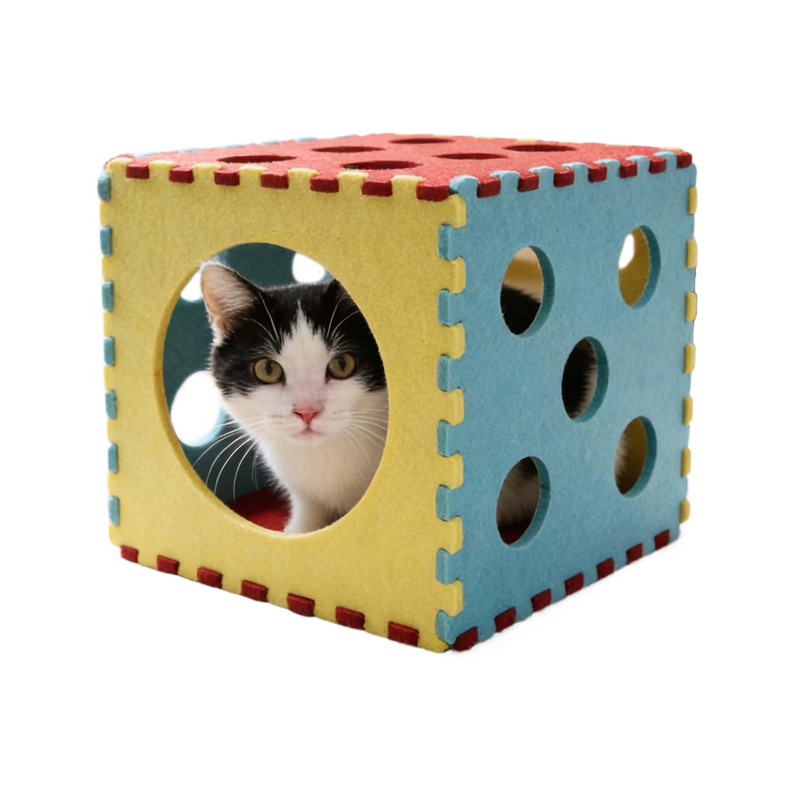 Túnel para gatos apto para jardín e interior ideal para pisos pequeños