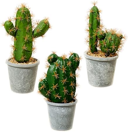 Amazon Kugusa サボテン 人工 観葉植物 フェイク グリーン インテリア 多肉 造花 3点セット サボテン3点セットd 人工観葉植物 オンライン通販
