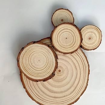 Amazon｜Farigrut パーツ 木製 天然木 切り株 コースター
