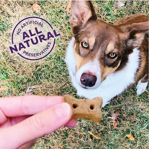 Old Mother Hubbard by Wellness Mother’s Solutions Hip & Joint Natural Dog Treats, Crunchy Oven-Baked Biscuits, Ideal for Training, 20 ounce bag Old Mother Hubbard by Wellness Mother’s Solutions Hip & Joint Natural Dog Treats, Crunchy Oven-Baked Biscuits, Ideal for Training, 20 ounce bag