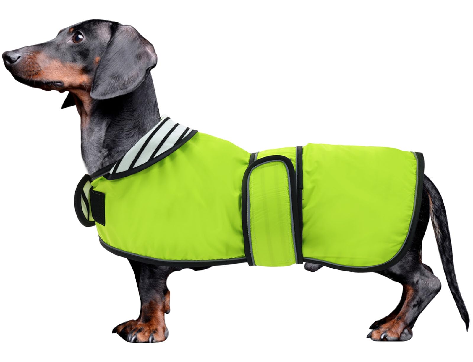 Morezi Dachshund raincoat corgi raincoat dogs waterproof fit for dachshunds weiner long back breeds with reflective stripe great coverage in autumn winter Light Green M